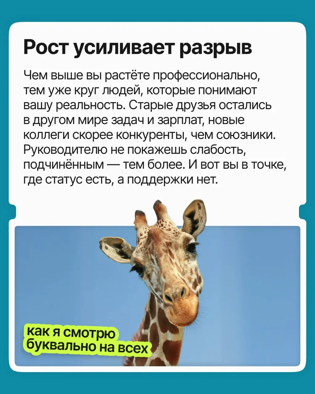 Профессиональное одиночество — это когда у вас есть и друзья, и коллеги, но вам всё равно не с кем обсудить рабочие или карьерные вопросы. И чем выше вы поднимаетесь, тем сильнее оно ощущается | Сетка — социальная сеть от hh.ru