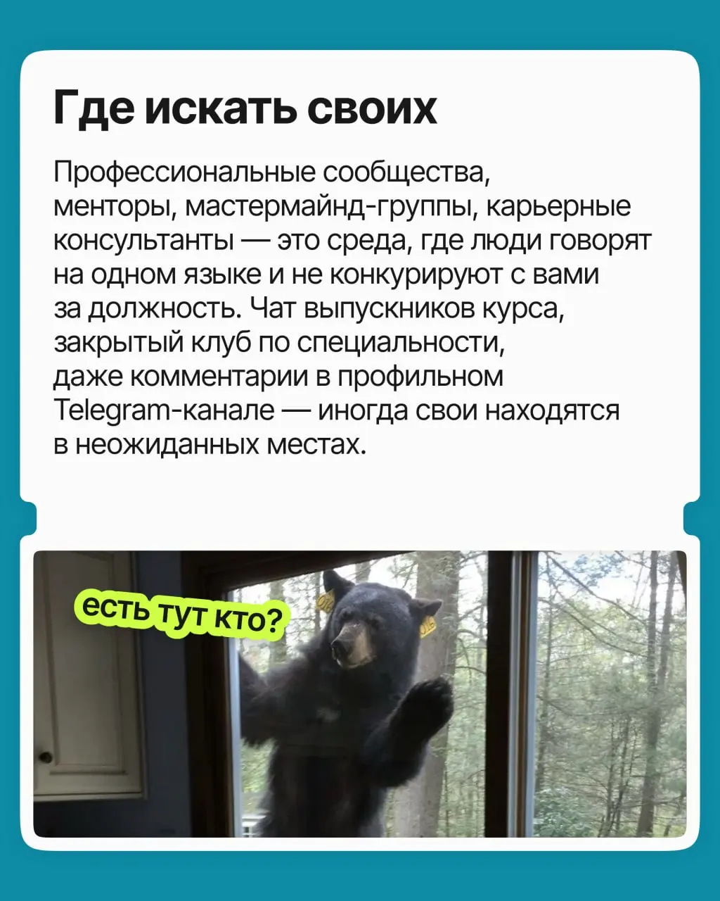 Профессиональное одиночество — это когда у вас есть и друзья, и коллеги, но вам всё равно не с кем обсудить рабочие или карьерные вопросы. И чем выше вы поднимаетесь, тем сильнее оно ощущается | Сетка — социальная сеть от hh.ru