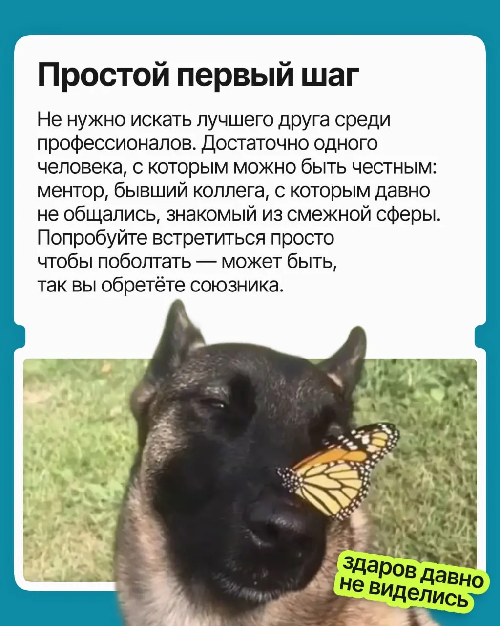 Профессиональное одиночество — это когда у вас есть и друзья, и коллеги, но вам всё равно не с кем обсудить рабочие или карьерные вопросы. И чем выше вы поднимаетесь, тем сильнее оно ощущается | Сетка — социальная сеть от hh.ru