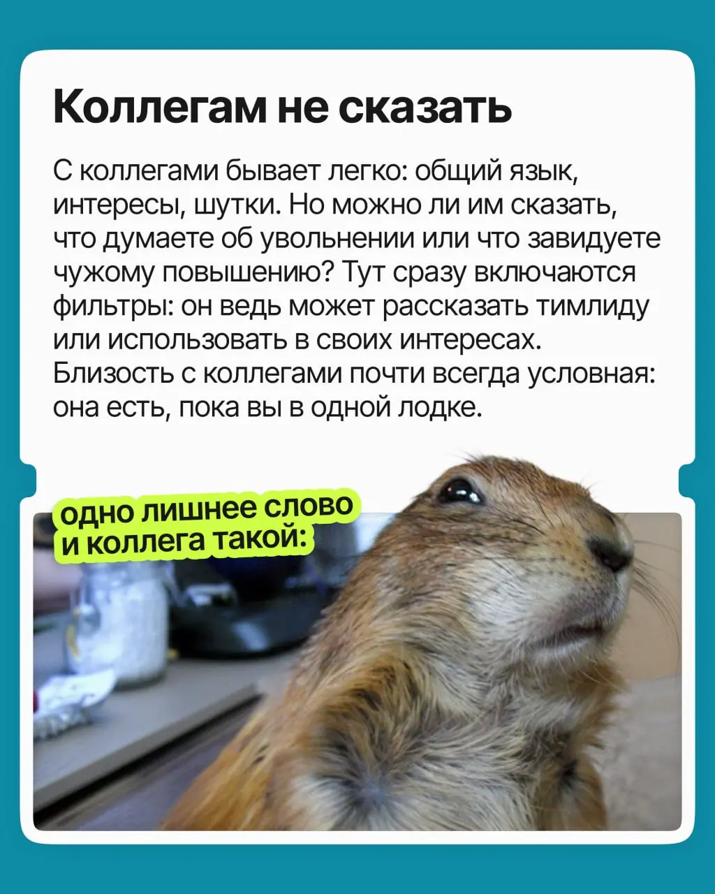 Профессиональное одиночество — это когда у вас есть и друзья, и коллеги, но вам всё равно не с кем обсудить рабочие или карьерные вопросы. И чем выше вы поднимаетесь, тем сильнее оно ощущается | Сетка — социальная сеть от hh.ru