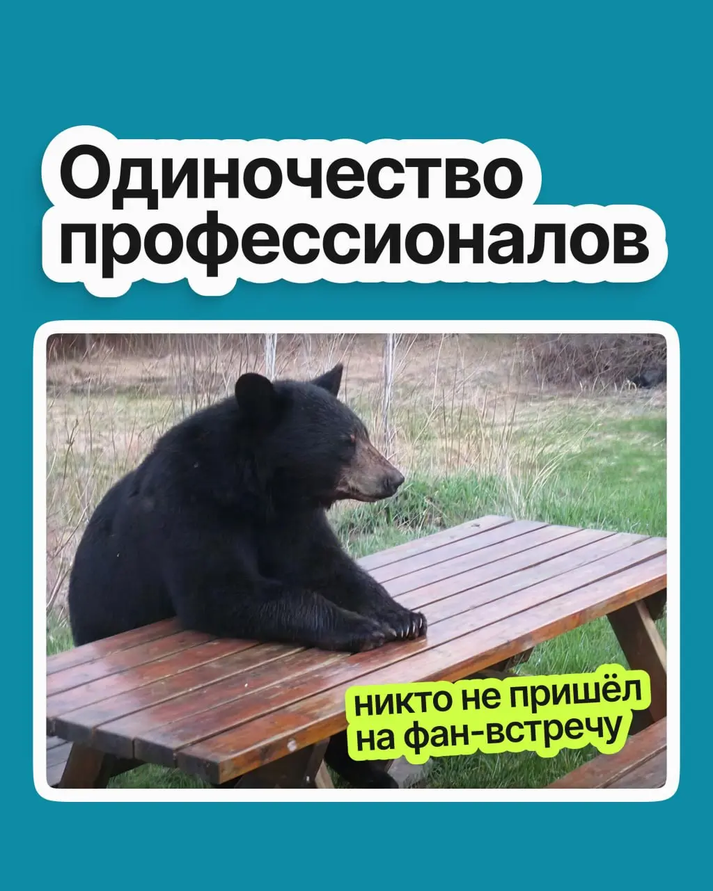 Профессиональное одиночество — это когда у вас есть и друзья, и коллеги, но вам всё равно не с кем обсудить рабочие или карьерные вопросы. И чем выше вы поднимаетесь, тем сильнее оно ощущается | Сетка — социальная сеть от hh.ru