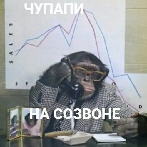 «у нас в компании не матерятся!» | Сетка — социальная сеть от hh.ru