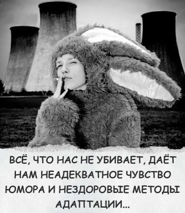 Нездоровые методы адаптации? Это ко мне! | Сетка — социальная сеть от hh.ru