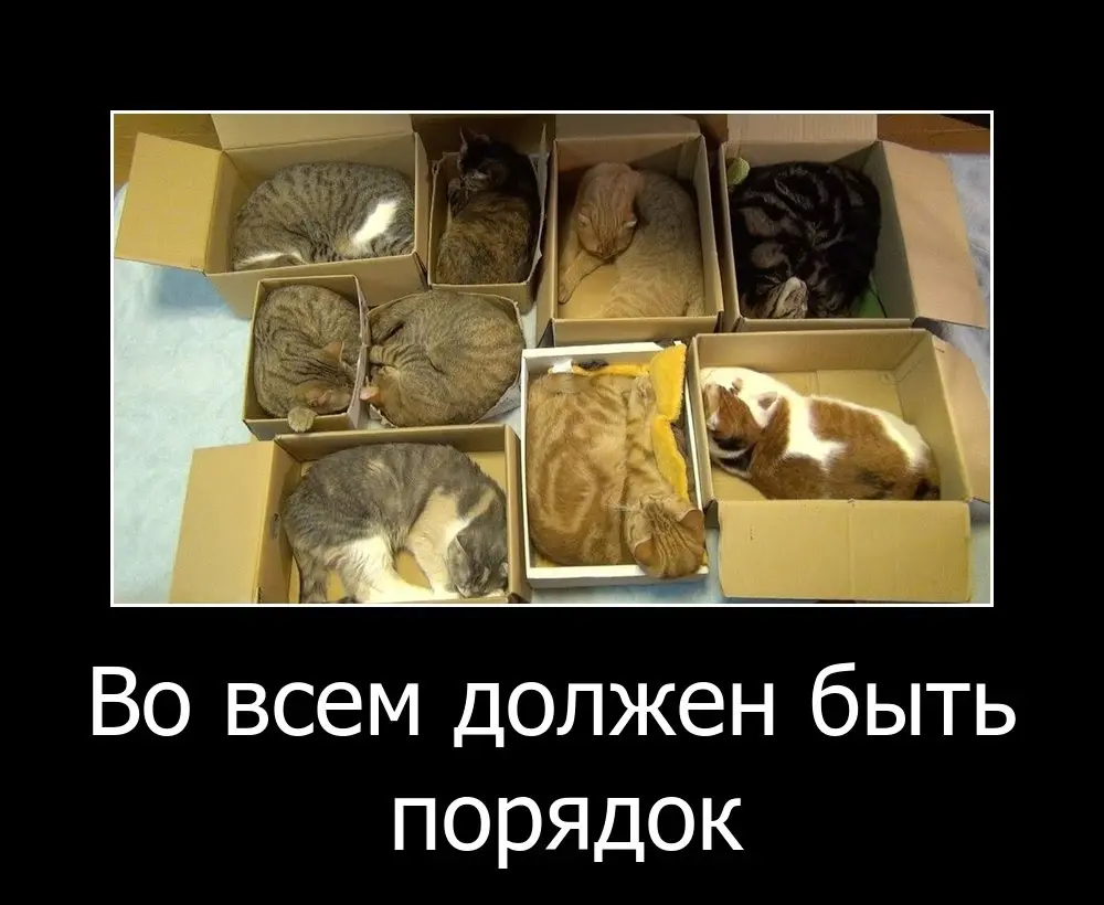 Пост-знакомство? | Сетка — социальная сеть от hh.ru