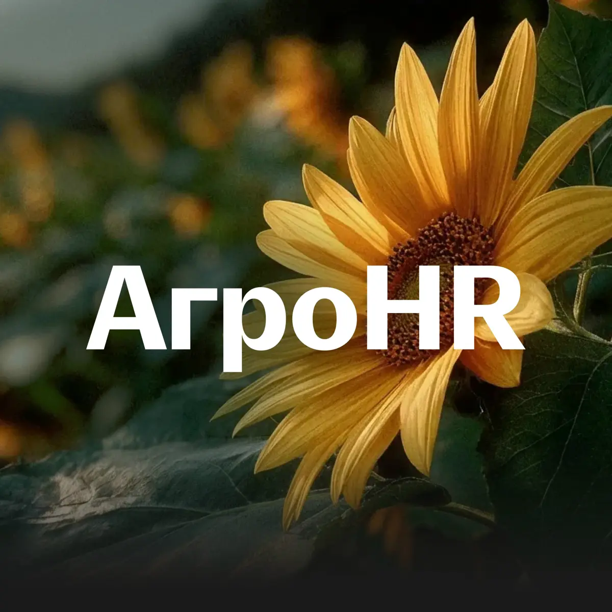 АгроHR 2026 | Сетка — социальная сеть от hh.ru