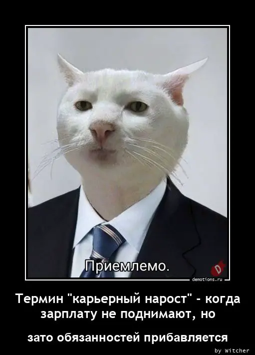 Всем привет👋🏼 а вы уже наростили себе нарост?😅🤪 | Сетка — социальная сеть от hh.ru
