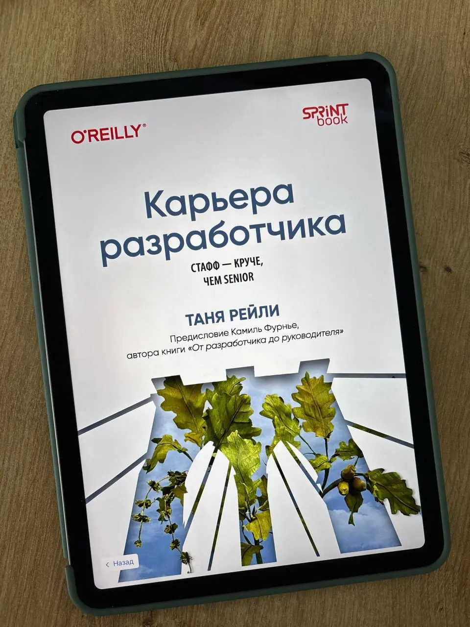 «Карьера разработчика. Стафф — круче, чем Senior», Таня Рейли
Staff-разработчики — это относительно новый тренд в российском IT. Раньше после должности senior-разработчика путь был только в тимлиды | Сетка — социальная сеть от hh.ru
