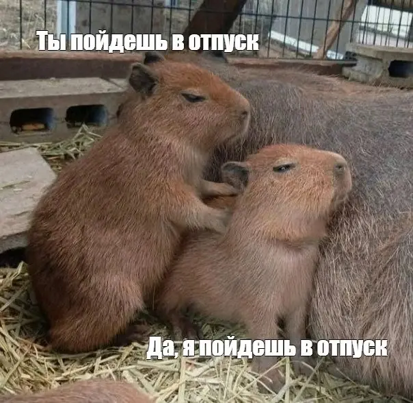 Скоро отпуск | Сетка — социальная сеть от hh.ru