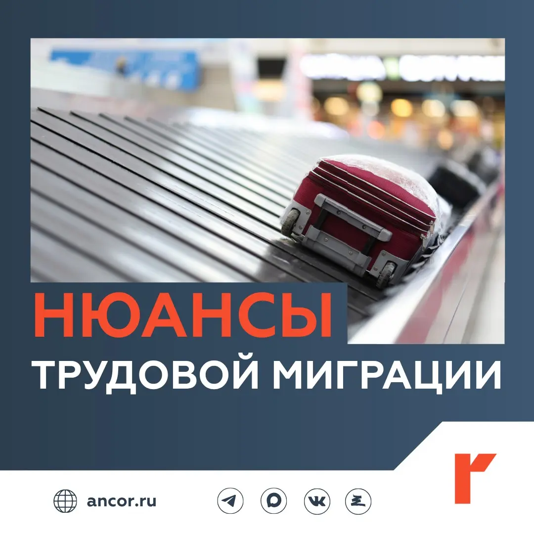 ✍️ Закон о подготовке мигрантов для работы в РФ подписан | Сетка — социальная сеть от hh.ru