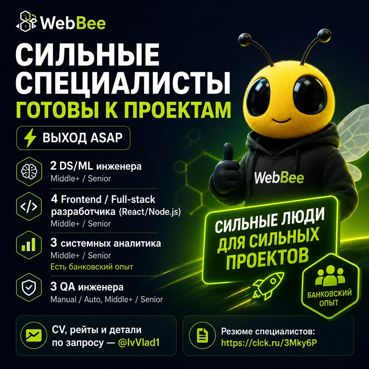 Доступные ИТ специалисты WebBee | Сетка — социальная сеть от hh.ru