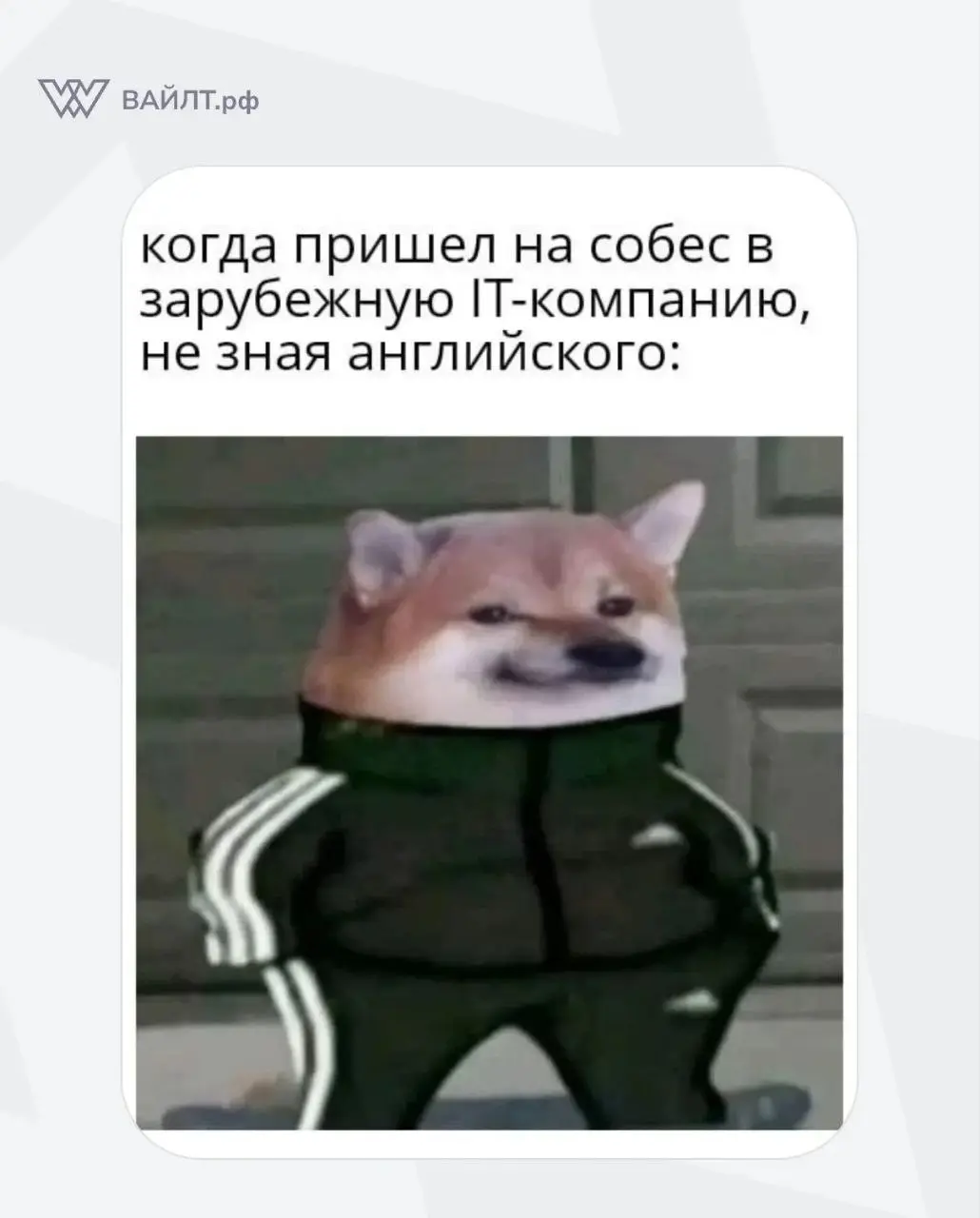 #Мем
@whiletru | Сетка — социальная сеть от hh.ru