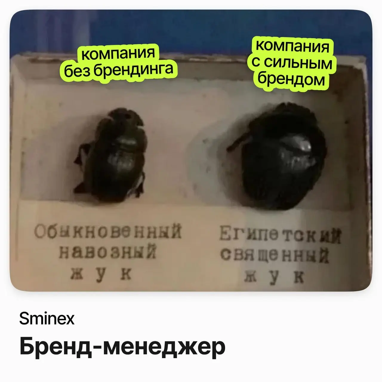 Бренд-менеджер / Sminex | Сетка — социальная сеть от hh.ru