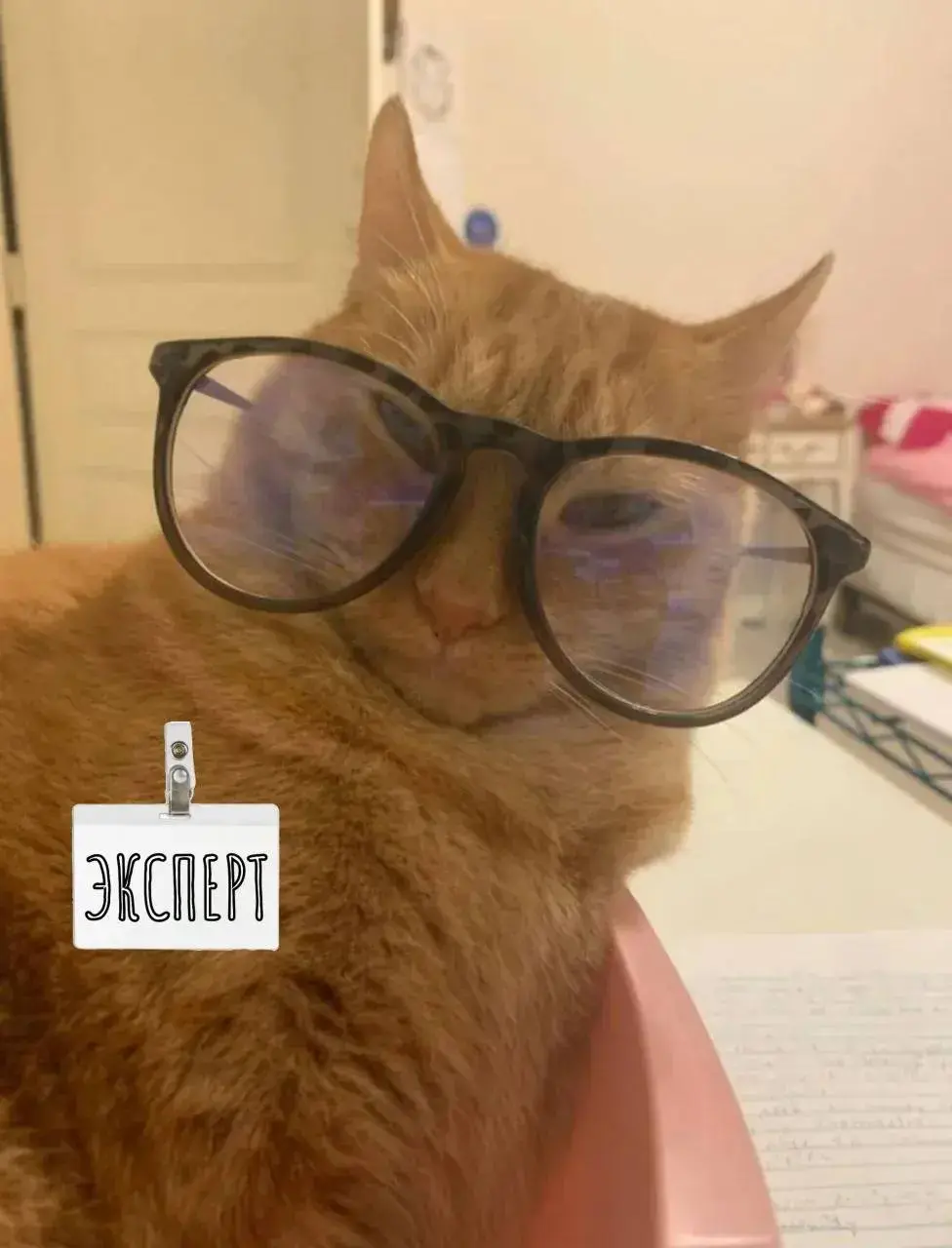 #Мнениеэксперта
🤍Отличительная черта сильного руководителя - работа на команду.🤍 | Сетка — социальная сеть от hh.ru