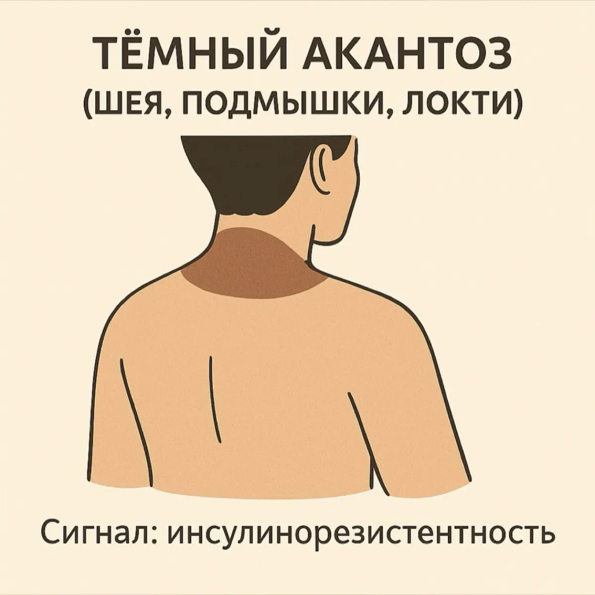 📚✅ | Сетка — социальная сеть от hh.ru