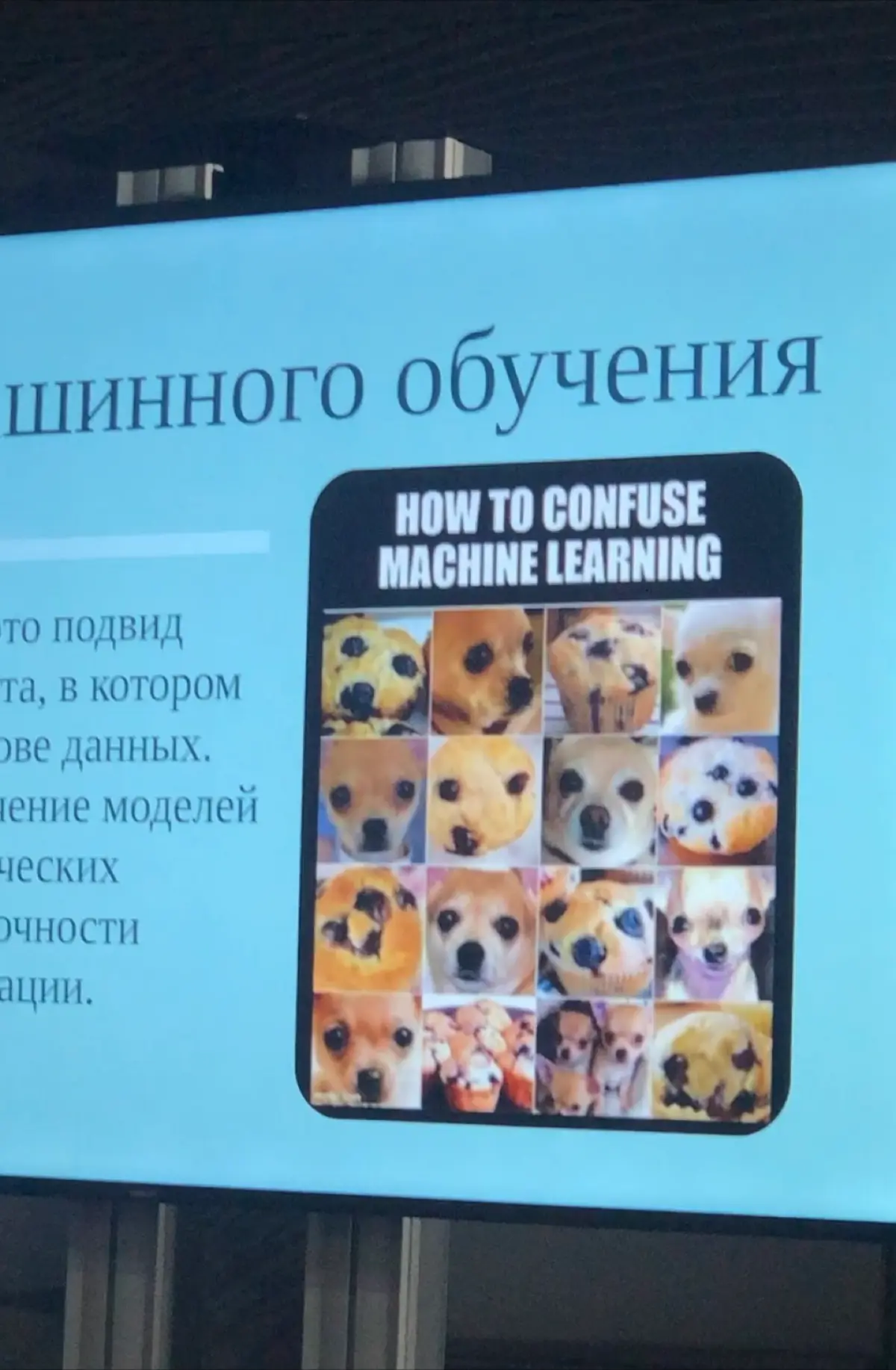 Сбер собирает представителей сочинского IT-коммьюнити | Сетка — социальная сеть от hh.ru