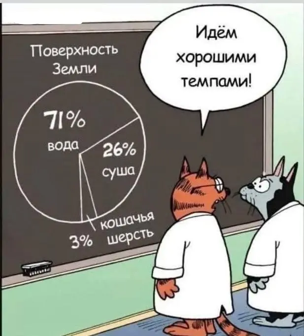 Вот такие KPI 😂
#Юмор@poldner    #Коты@poldner | Сетка — социальная сеть от hh.ru