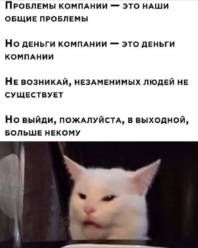 🤨😄 | Сетка — социальная сеть от hh.ru