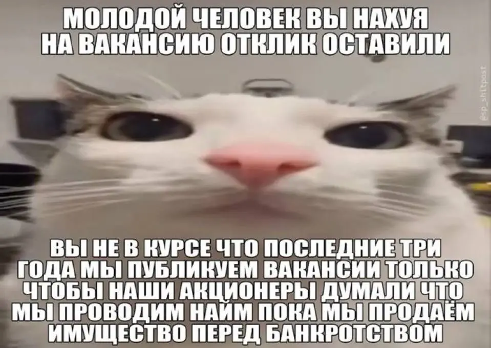 #HRМетрики | Сетка — социальная сеть от hh.ru