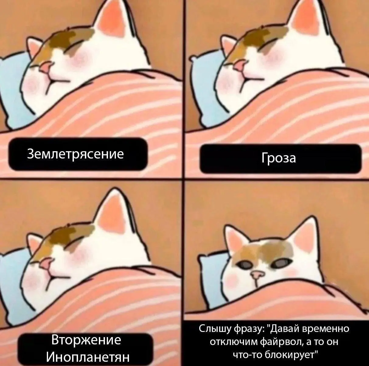 Экономим твое время на поиск смешного. Подписывайся 🆘 | Сетка — социальная сеть от hh.ru