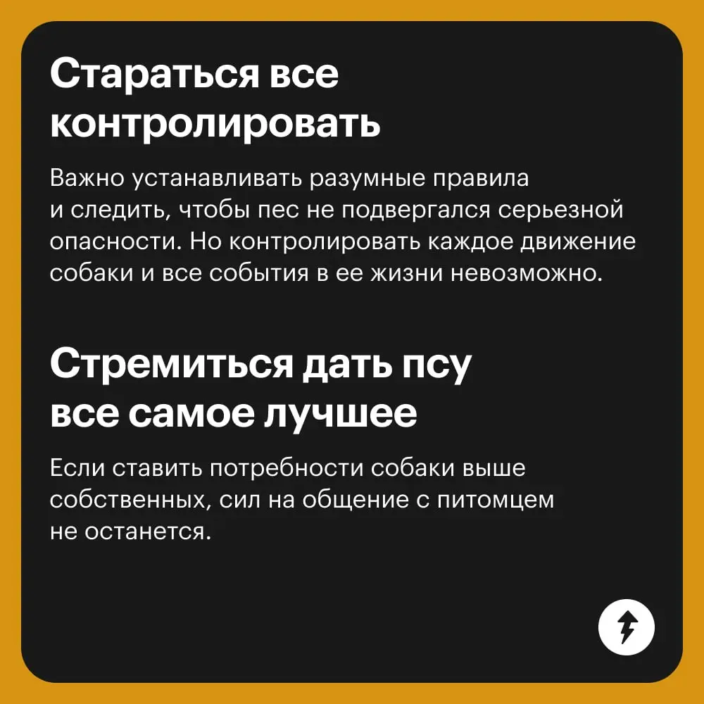 😄: Я ради тебя готов горы свернуть!
🐕: Давай мы не будем ничего сворачивать, лучше просто пройдем мимо моего любимого кустика — мне надо смс от друзей почитать.
⚡️ Как жить с собакой
#собаковедение | Сетка — социальная сеть от hh.ru