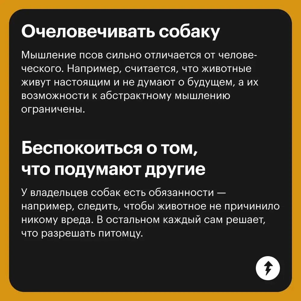 😄: Я ради тебя готов горы свернуть!
🐕: Давай мы не будем ничего сворачивать, лучше просто пройдем мимо моего любимого кустика — мне надо смс от друзей почитать.
⚡️ Как жить с собакой
#собаковедение | Сетка — социальная сеть от hh.ru