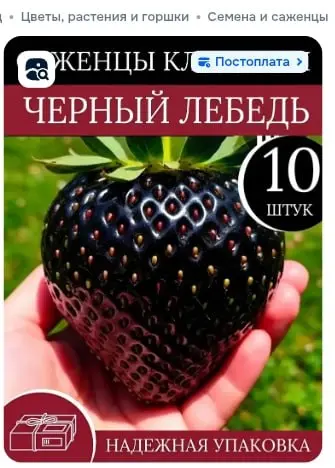 Просим продавцов заменить сгенерированные нейросетями изображения на реальные фотографии, так как введение покупателей в заблуждение с их помощью недопустимо", - заявили в Ozon | Сетка — социальная сеть от hh.ru