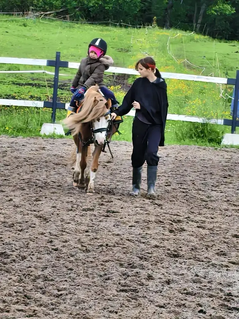 Теперь с Мийкой вместе занимаемся 🏇🏻 | Сетка — социальная сеть от hh.ru