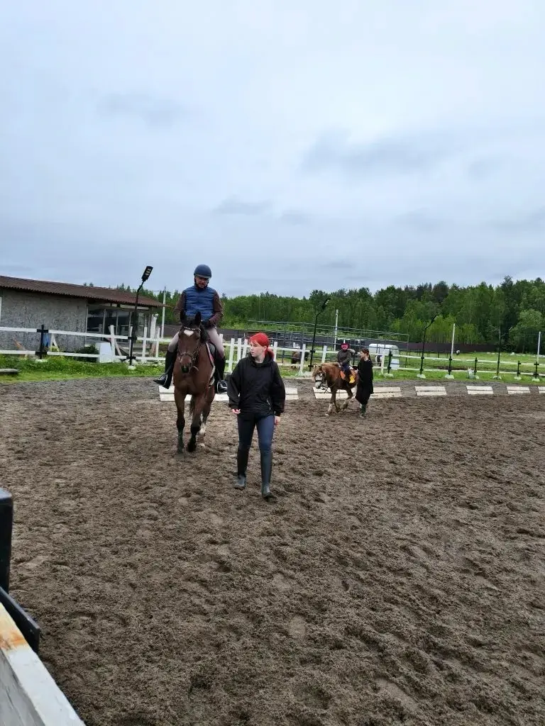 Теперь с Мийкой вместе занимаемся 🏇🏻 | Сетка — социальная сеть от hh.ru
