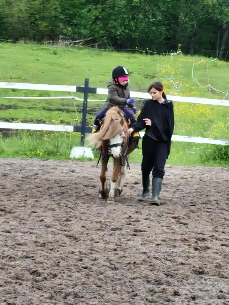 Теперь с Мийкой вместе занимаемся 🏇🏻 | Сетка — социальная сеть от hh.ru