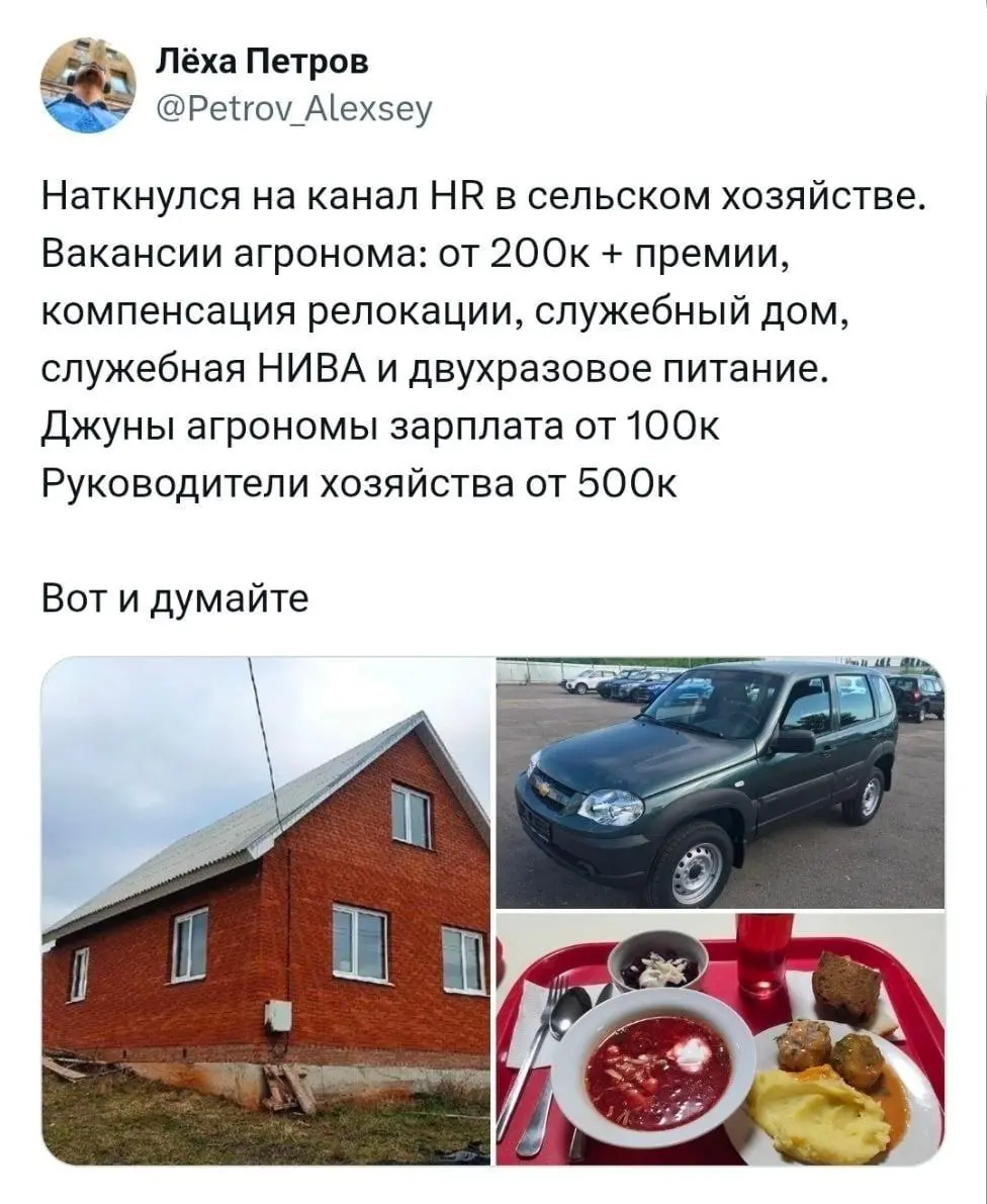Подпишись, если тоже делаешь вид, что работаешь 💸 | Сетка — социальная сеть от hh.ru