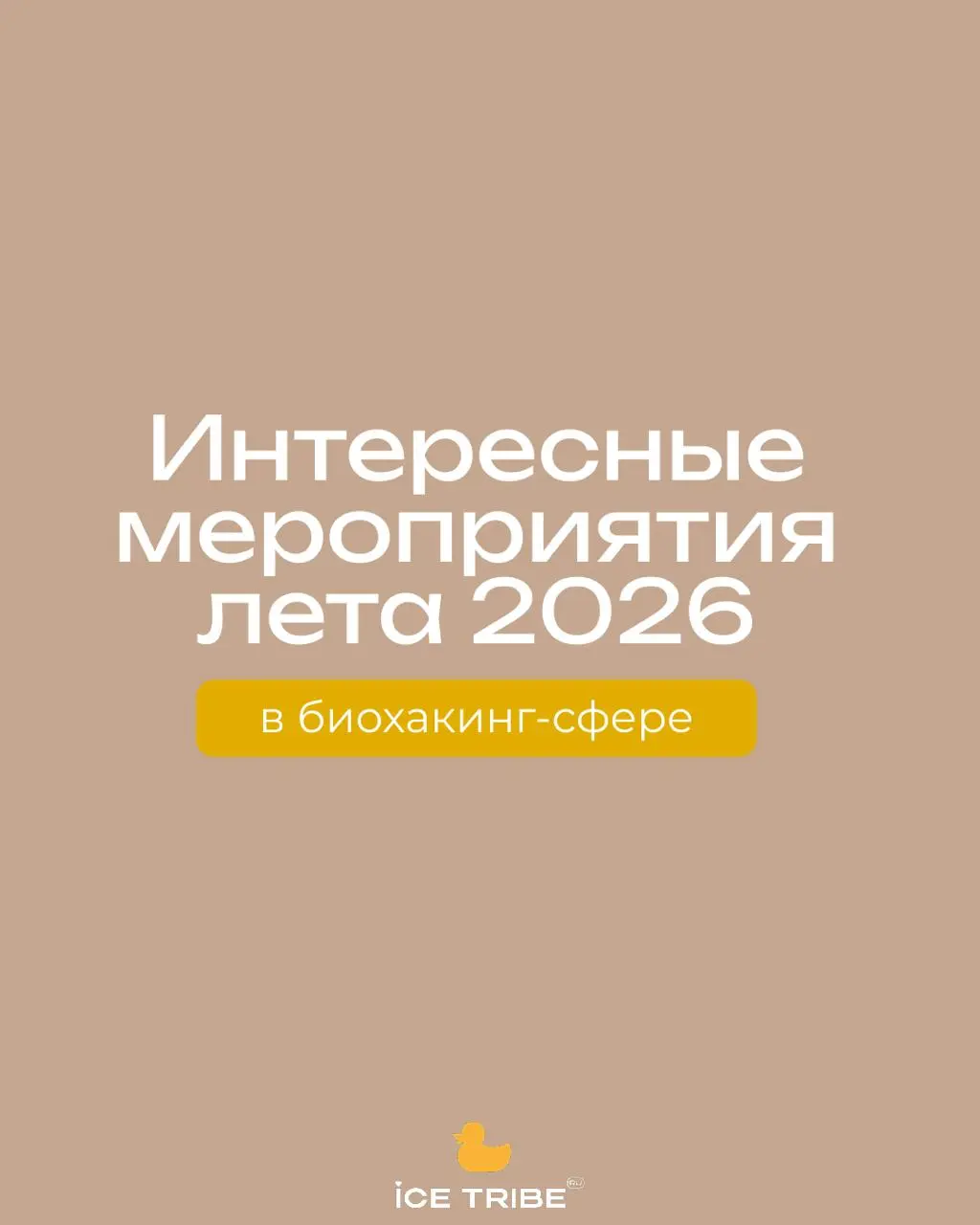 Завтра лето!
Собрали самые интересные события этого лета в России — от небольших фестивалей на природе с практиками восстановления до масштабных форумов
🌿 Дыхательные практики на рассвете, ледяные куп... | Сетка — социальная сеть от hh.ru