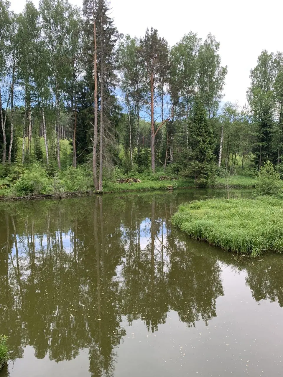 #Дорога — Доброград, что за очко
Вот прямо сейчас сижу в ресторане «Доброград» раздраженный | Сетка — социальная сеть от hh.ru
