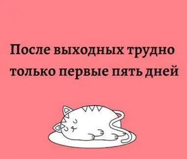 Понедельничное ✨ | Сетка — социальная сеть от hh.ru