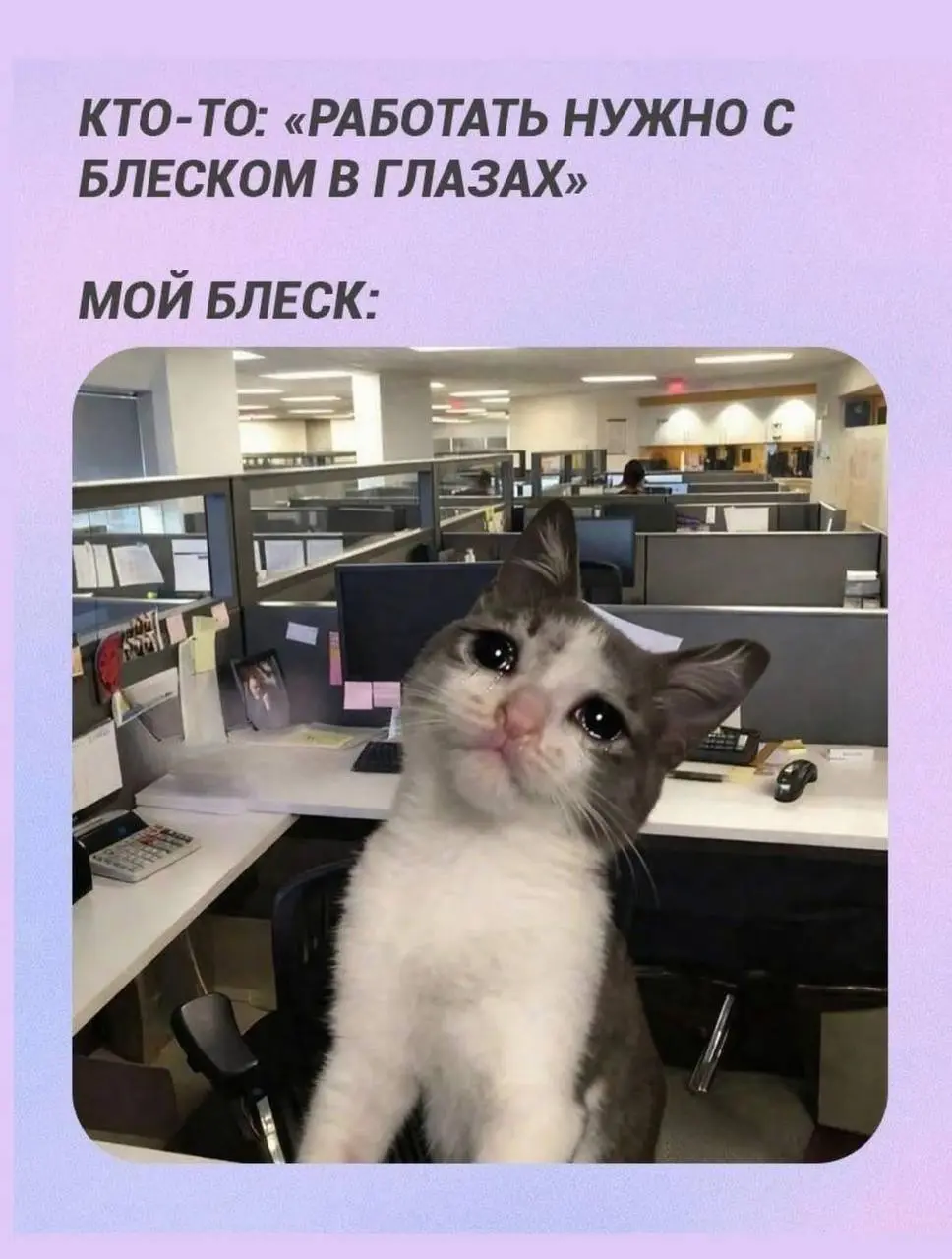 У кого такой же блеск ✨? | Сетка — социальная сеть от hh.ru