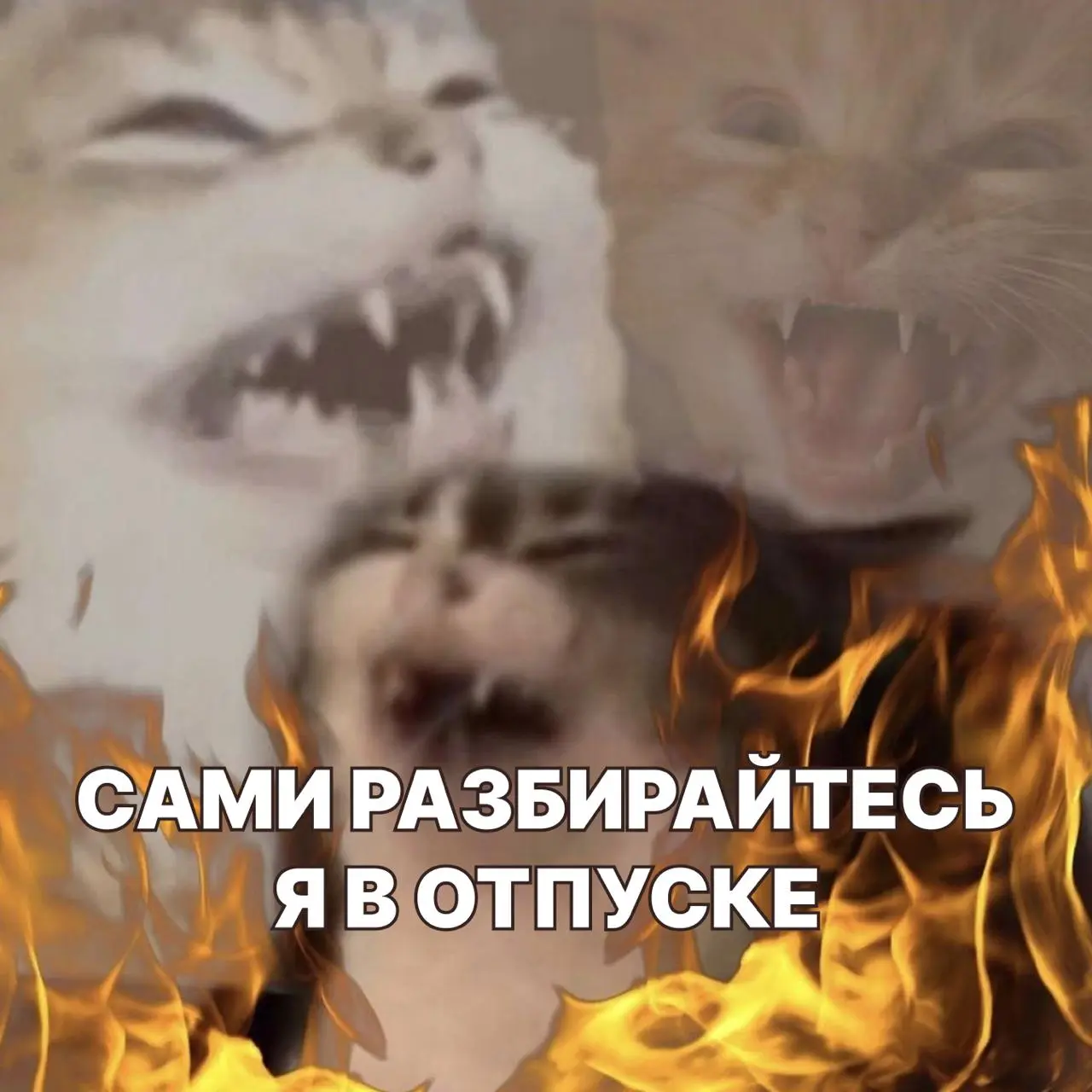 Завезли аватарки для рабочих чатов на лето🏖
Дружеское напоминание, что залог здоровой менталки – мьют на все рабочие чаты во время отпуска)) Так что забирайте подборку и делитесь с коллегами!
А вы пла... | Сетка — социальная сеть от hh.ru