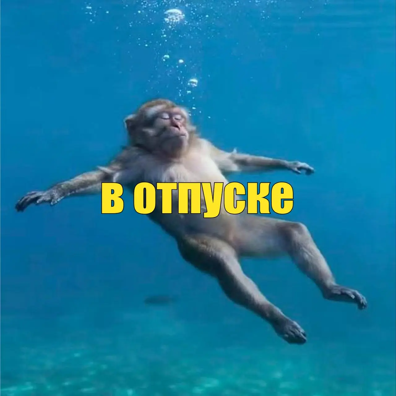 Завезли аватарки для рабочих чатов на лето🏖
Дружеское напоминание, что залог здоровой менталки – мьют на все рабочие чаты во время отпуска)) Так что забирайте подборку и делитесь с коллегами!
А вы пла... | Сетка — социальная сеть от hh.ru