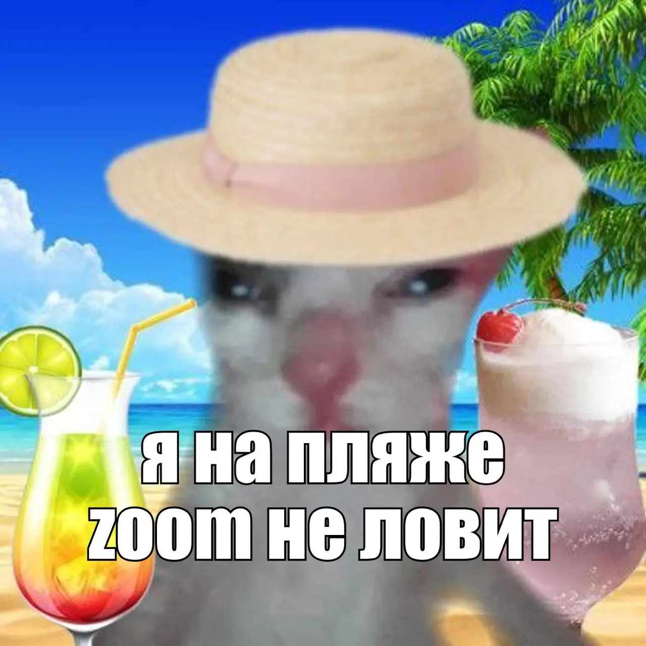 Завезли аватарки для рабочих чатов на лето🏖
Дружеское напоминание, что залог здоровой менталки – мьют на все рабочие чаты во время отпуска)) Так что забирайте подборку и делитесь с коллегами!
А вы пла... | Сетка — социальная сеть от hh.ru