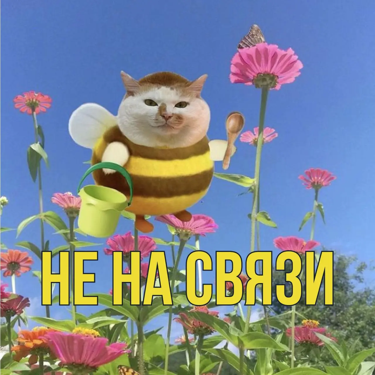 Завезли аватарки для рабочих чатов на лето🏖
Дружеское напоминание, что залог здоровой менталки – мьют на все рабочие чаты во время отпуска)) Так что забирайте подборку и делитесь с коллегами!
А вы пла... | Сетка — социальная сеть от hh.ru