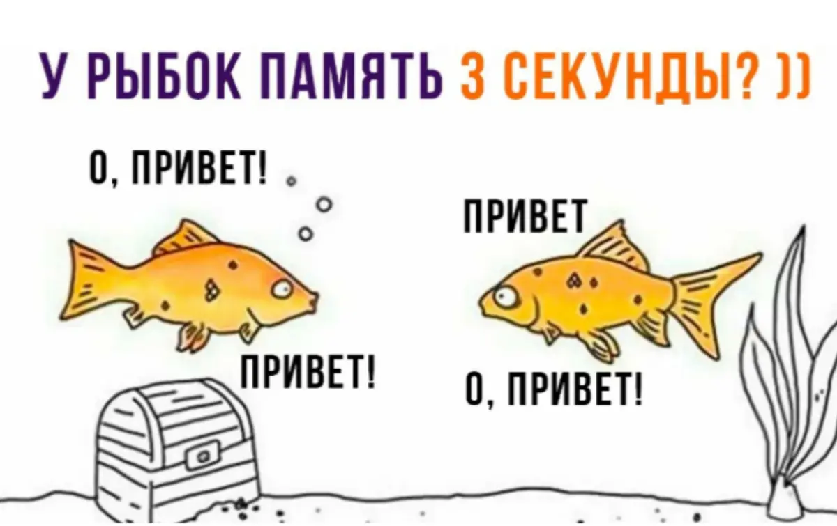Сотрудники вашей компании всë забывают? | Сетка — социальная сеть от hh.ru
