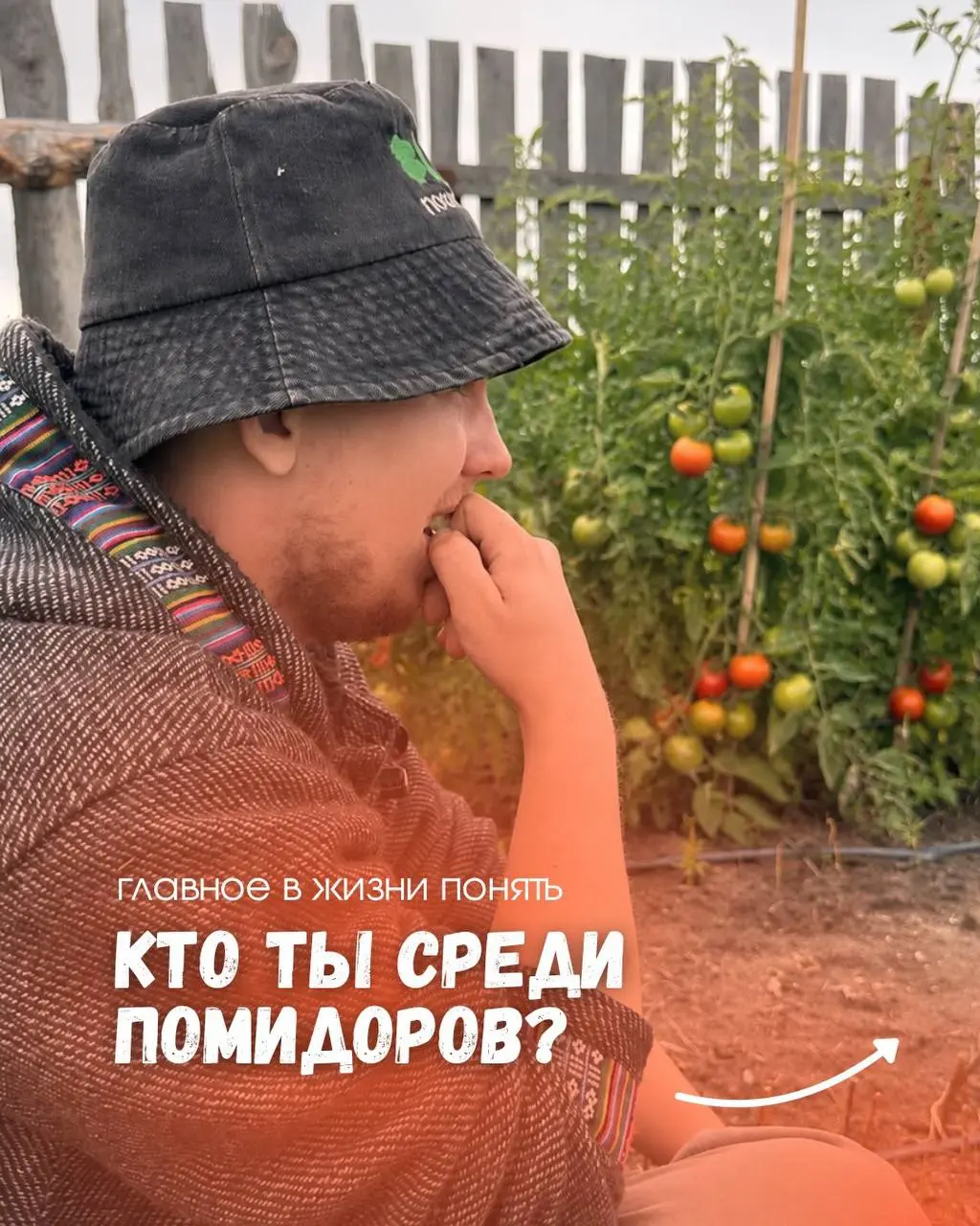 Мир безграничен и непредсказуем
Вот и мы с неожиданным вопросом: «А кто вы в мире помидоров?»
Если не понимаете, о чем речь, то читайте пост | Сетка — социальная сеть от hh.ru