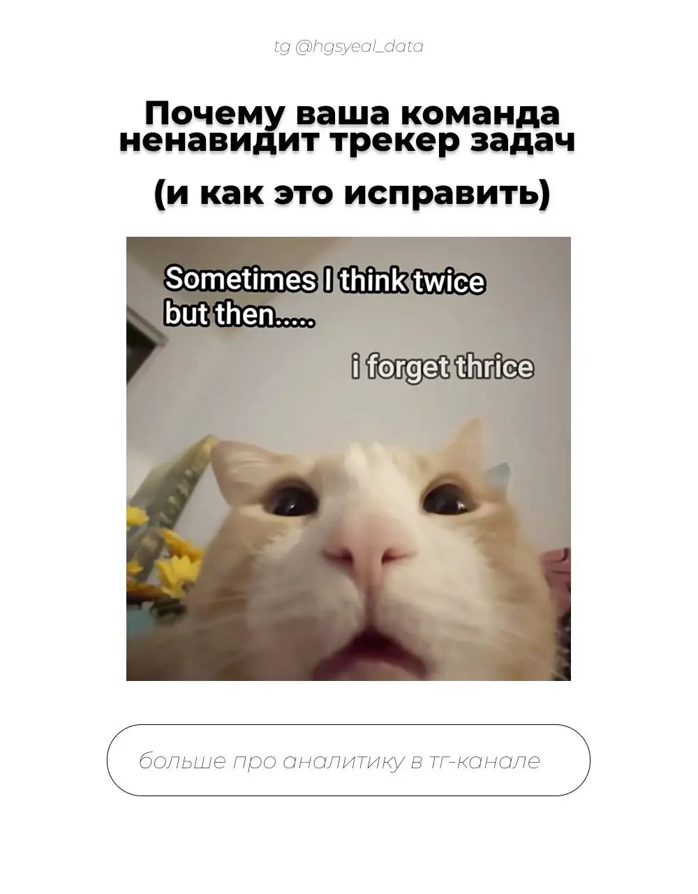 😯 Почему внедрение трекеров задач в IT-командах часто заканчивается раздражением?
Потому что многие начинают внедрять инструмент, не понимая, какую проблему он должен решить
В итоге появляется ещё одн... | Сетка — социальная сеть от hh.ru