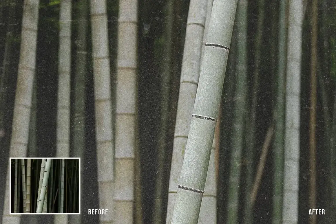 ⛓️‍💥 Текстурайзер
Шаблон для фотошопа, созданный для добавления эффекта зерна на ваше фото за один клик.
📂Скачать шаблон📂
#Эффекты
В этом посте были ссылки, но мы их удалили по правилам Сетки | Сетка — социальная сеть от hh.ru