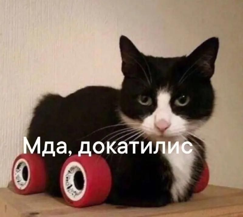 Как понять, что компания тебе врёт (мягко говоря)
Красные флаги на интервью:
— «у нас нет переработок» (но никто не может это подтвердить)
— «мы как семья»
— «процессы есть, но гибкие»
— «зарплатная в... | Сетка — социальная сеть от hh.ru