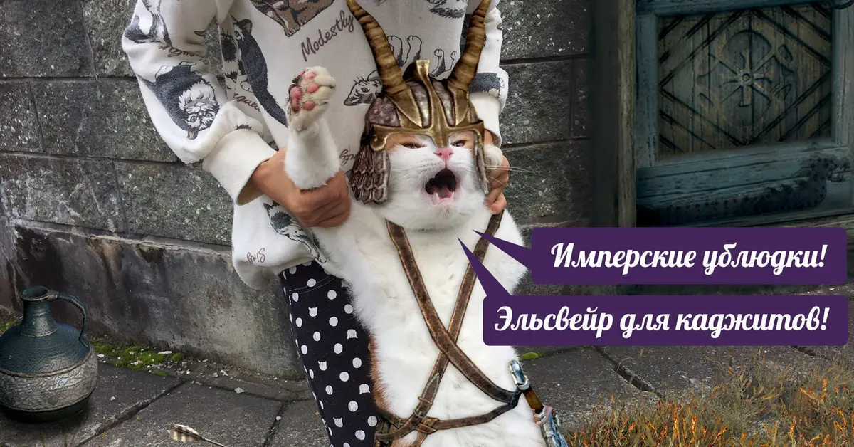 Скайрим - для нордов, а ИИ - для умных | Сетка — социальная сеть от hh.ru