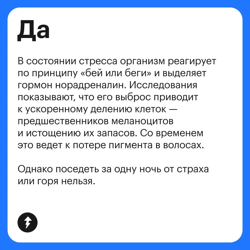 ⚡️ Оставили артикул на лучшее средство от стресса: https://l.tbank.ru/stresstg0106
#здоровье | Сетка — социальная сеть от hh.ru