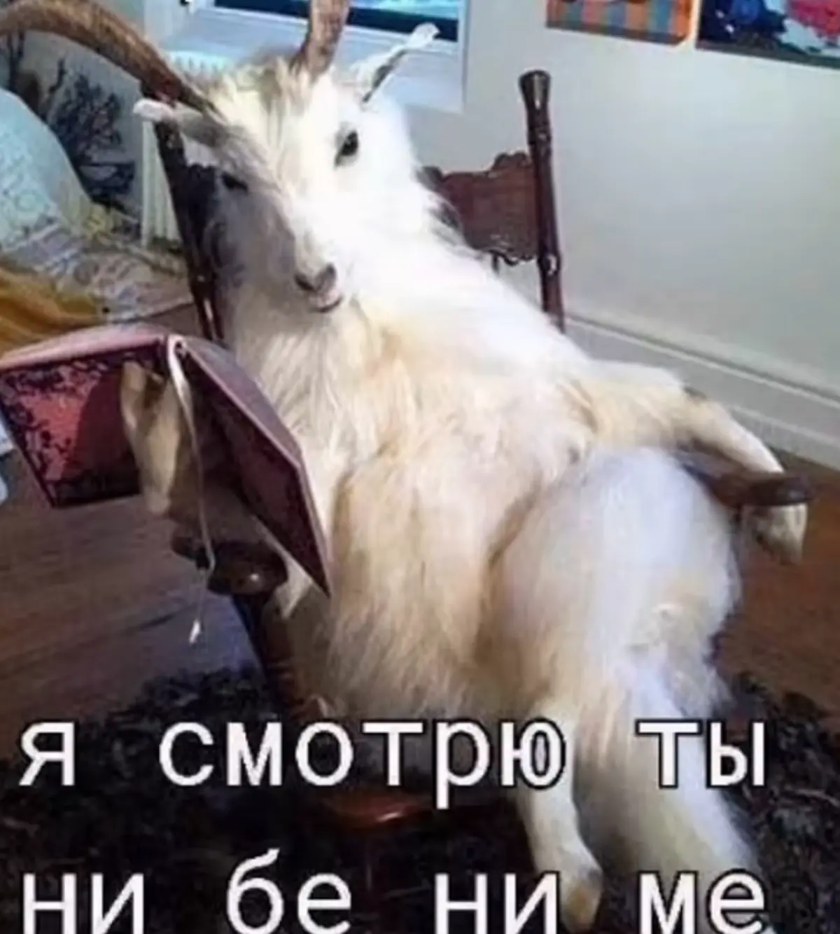 Заканчиваешь университет.
Магистратуру.
Работаешь по специальности в узкой юридической сфере.
Не можешь проконсультировать троюродного дядю Ерофея о банкротстве из-за микрозайма на электрочайник: | Сетка — социальная сеть от hh.ru