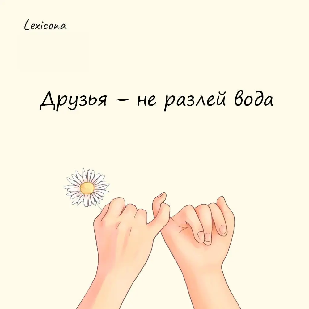 Друзья – не разлей вода
Символически вода в данном выражении воспринимается как синоним испытаний. Чаще всего фраза относится к друзьям, которые всюду находятся вместе | Сетка — социальная сеть от hh.ru