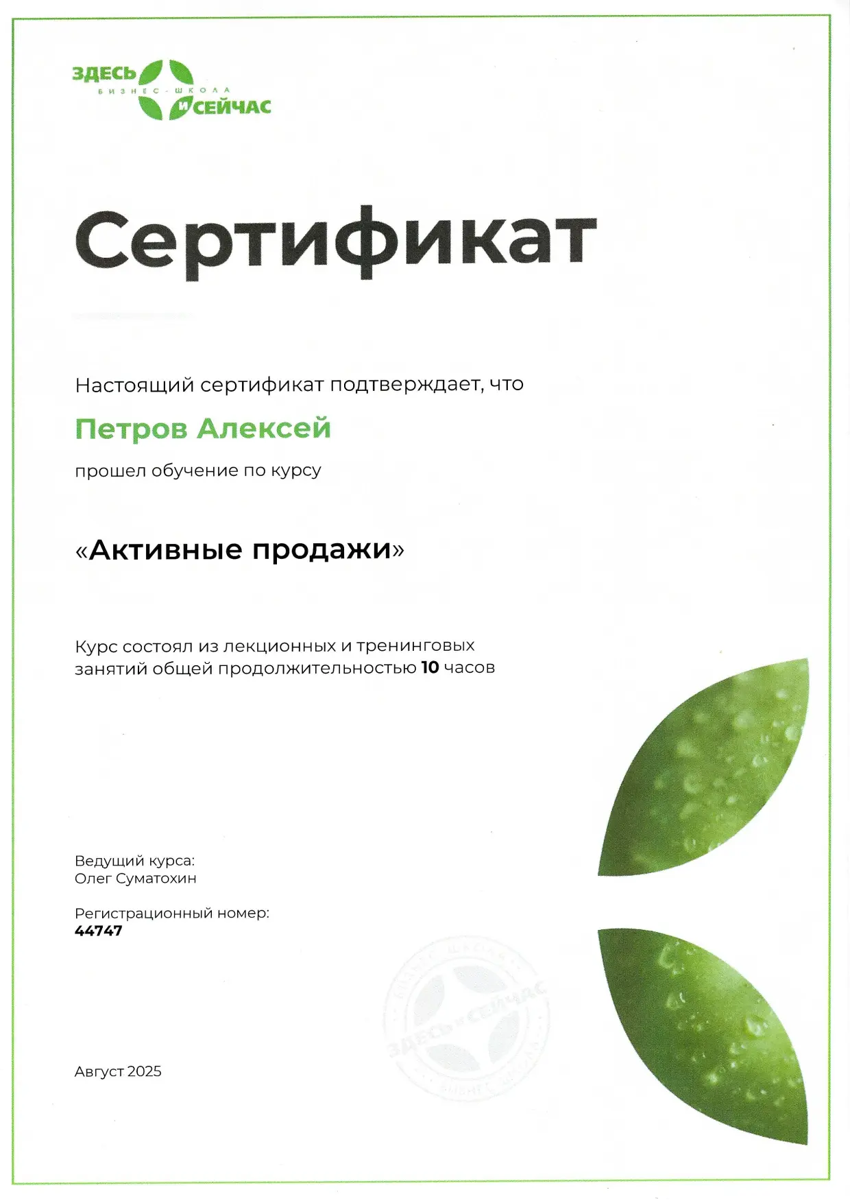 Network member avatar