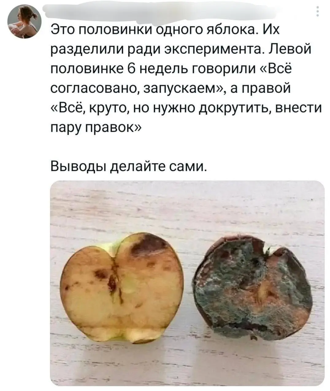 Какая ты половинка яблока? 😂
#Юмор@poldner | Сетка — социальная сеть от hh.ru