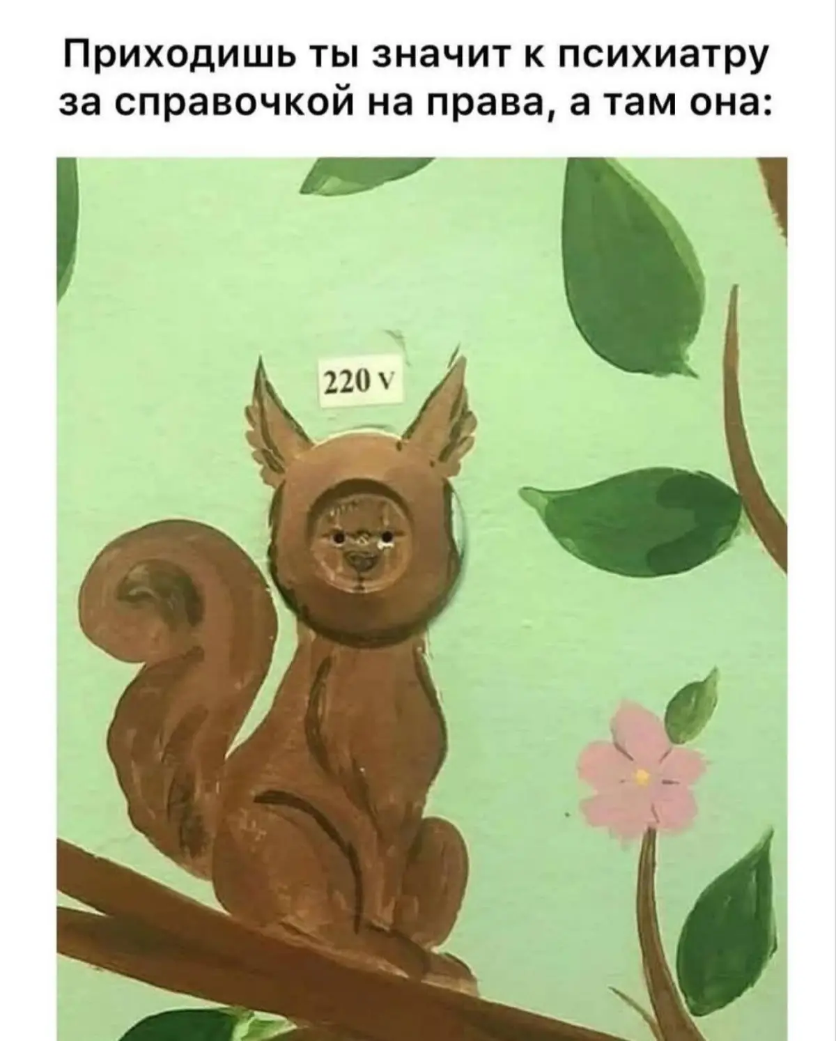 Люди-Белки | Сетка — социальная сеть от hh.ru